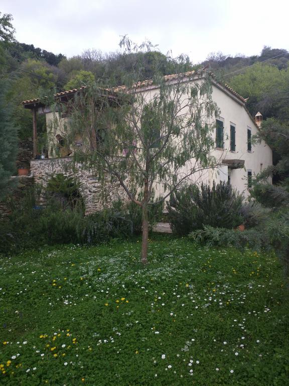 To Lagadi Tou Karava Hotel Agia Pelagia  Exterior photo